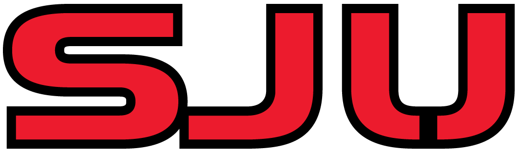 St. John's Red Storm 2004-2006 Wordmark Logo diy DTF decal sticker